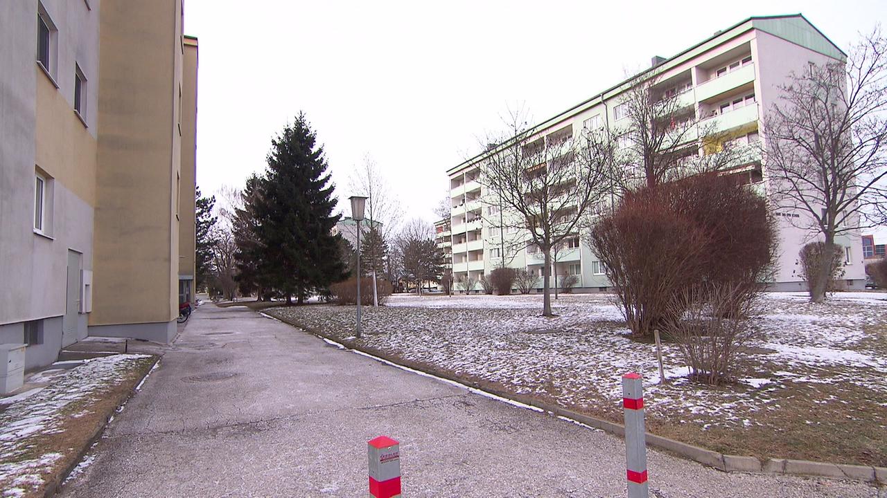 © ORF Am Schauplatz