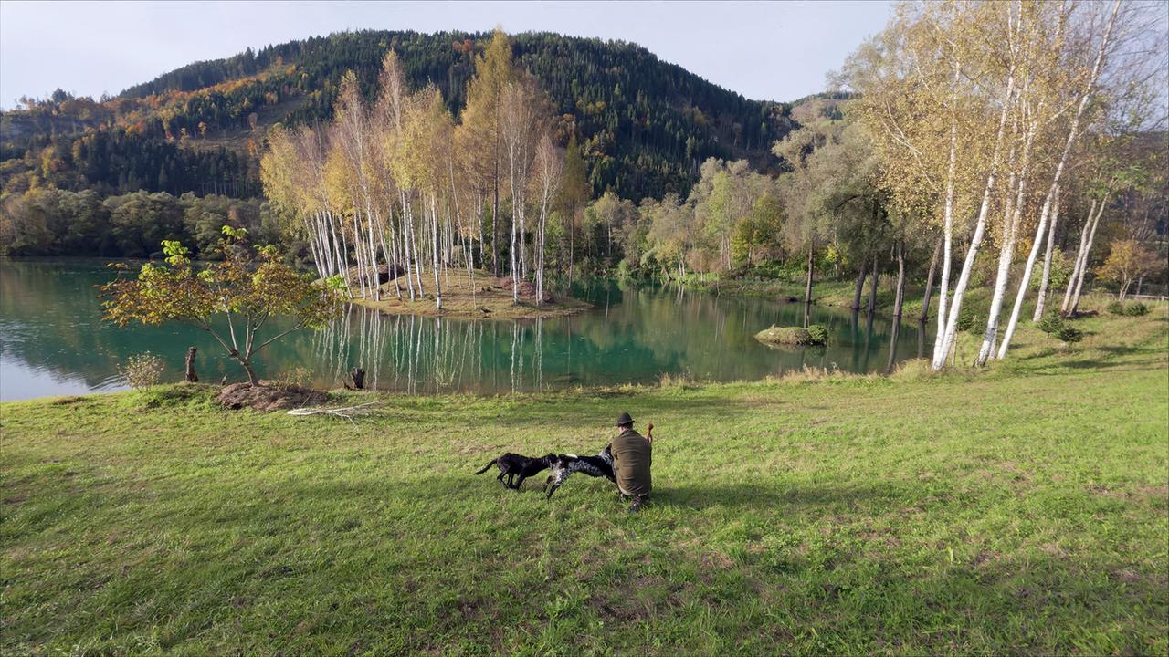 In Murau