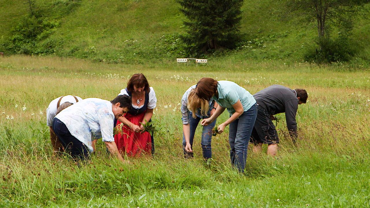 © ORF Traditionsreiches Österreich